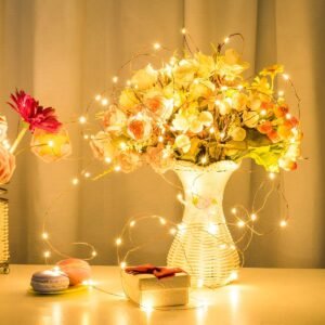 Warm White Rice Led 10 Meters 100 LED Copper Wire String Lights IP65 Waterproof USB Powered