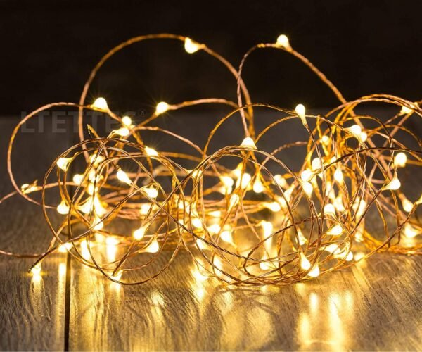 Warm White Rice Led 10 Meters 100 LED Copper Wire String Lights IP65 Waterproof USB Powered