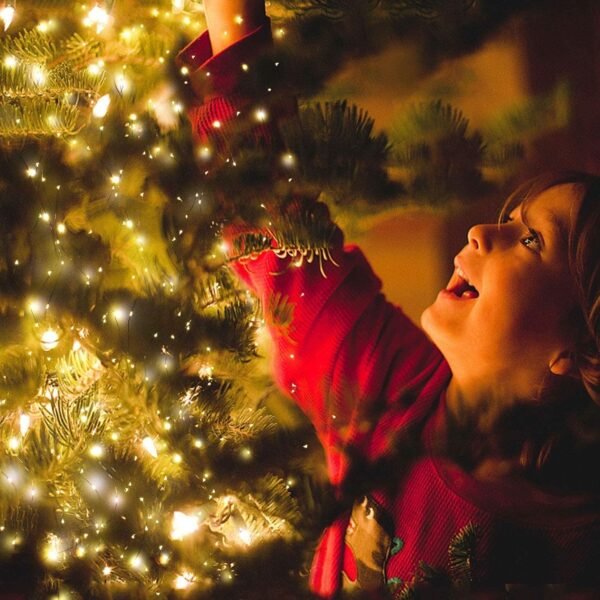 20 Meters 200 LED Copper String Lights IP65 Waterproof USB Powered Warm White