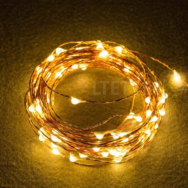 Warm White Rice Led 10 Meters 100 LED Copper Wire String Lights IP65 Waterproof USB Powered