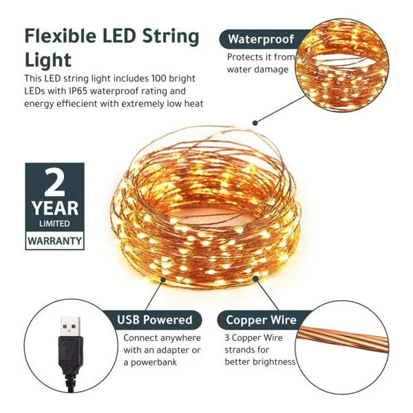 Warm White Rice Led 10 Meters 100 LED Copper Wire String Lights IP65 Waterproof USB Powered